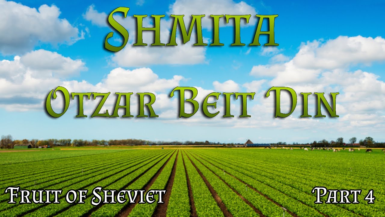 Shmita | Fruit & Vegetables of Sheviet - Otzar Beit Din (Curator)