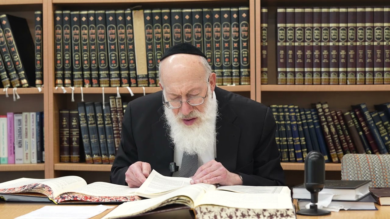 Sheimos Gittin - Rav Mordechai Willig