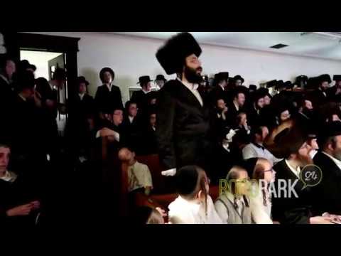 Belz Wedding in Boro Park