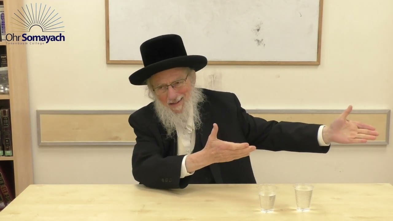 Practical Reasoning on Sensitive Topics PT 11 (Rabbi Dovid Gottleib) (Jewish Philosophy)