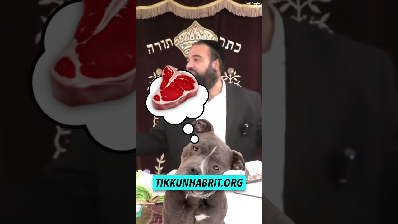 Understanding The Mind Of A Man #Torah #Judaism #RabbiYaronReuven #Marriage #relationshipadvice