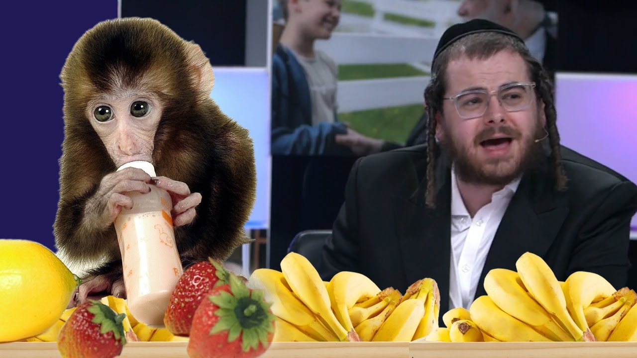 We're waiting outside with a lifetime delivery of bananas! | Winner Wakeups with Hershy Weinberger