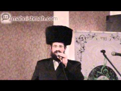 Yisroel Werdyger - Torah - New Single