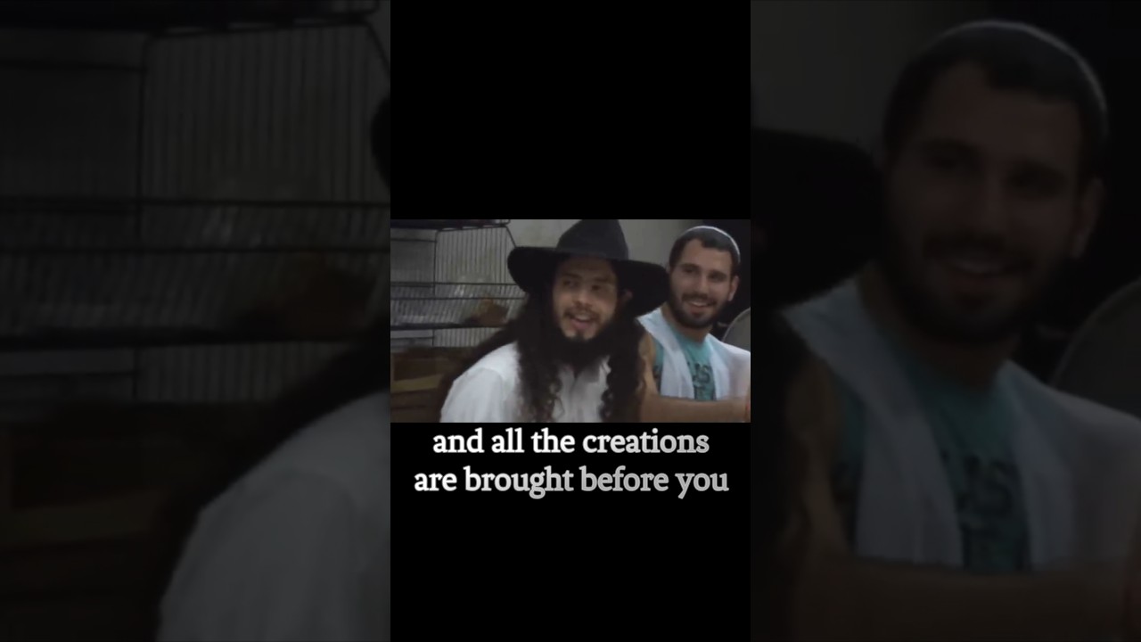 #GardenOfEden pt 3 #Genesis #Torah #Parsha #Bereshit #Chabad #Yeshiva Beis #Menachem #Farbrengen