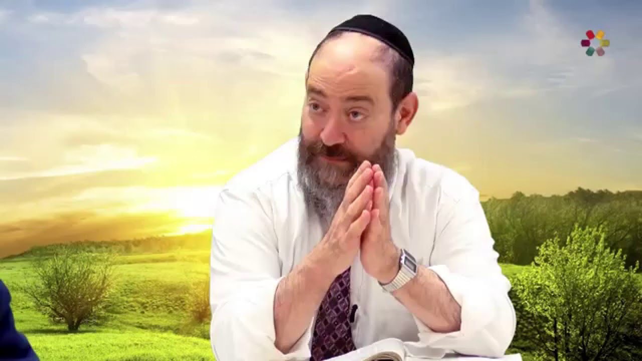 Rabbi David Kaplan - Weekly Torah Portion: Vayeira - Part 3