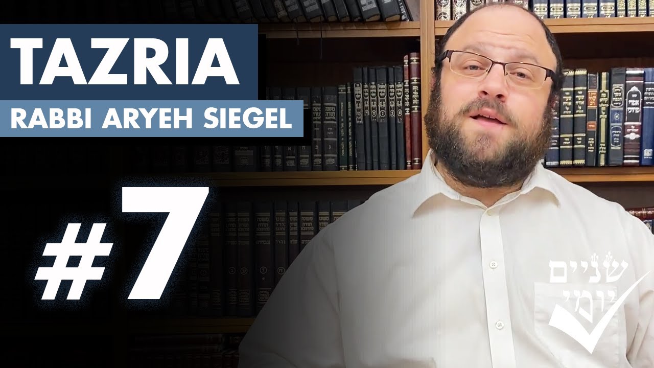 Shnayim Yomi - Tazria - Sh'vi'i - #7 5784