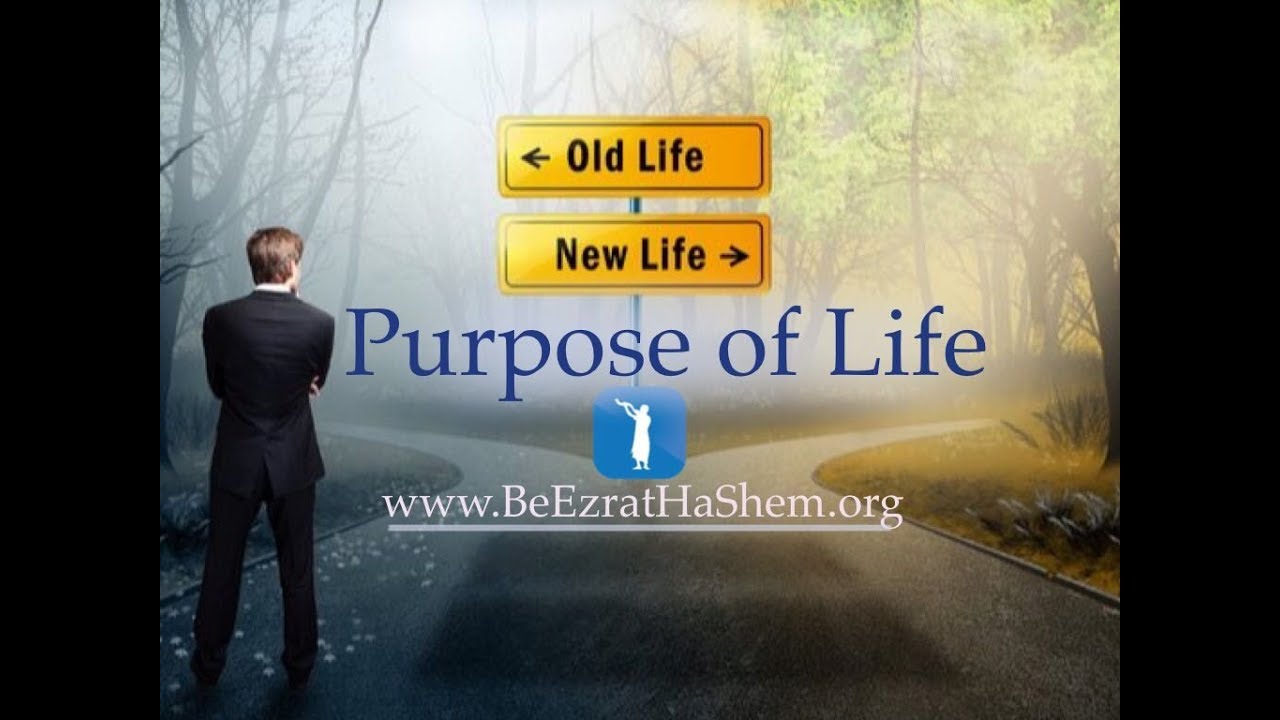 Purpose of Life In A Purposeless World  - MUSSAR Pirkei Avot (74)