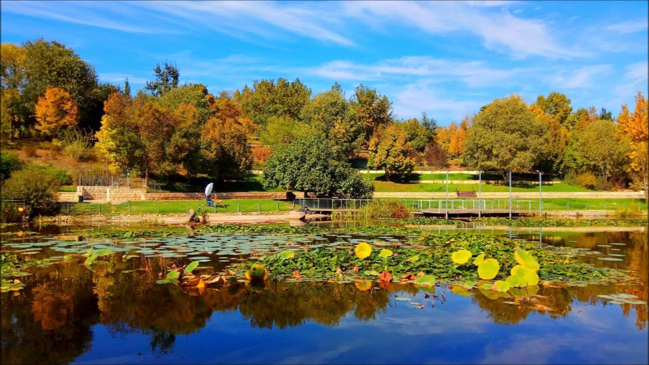 Rejuvenation: Nurturing Jerusalem’s Botanical Gardens