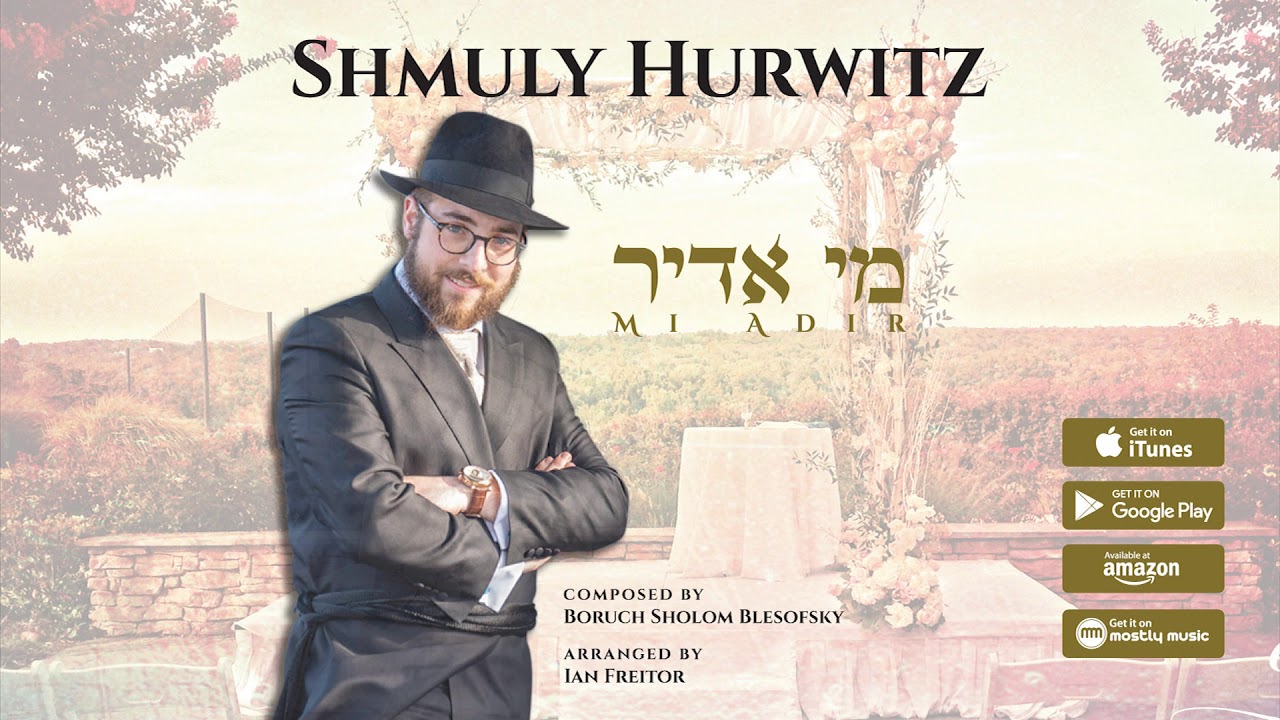 Mi Adir - Shmuly Hurwitz [Official Audio] מי אדיר - שמולי הורוויץ