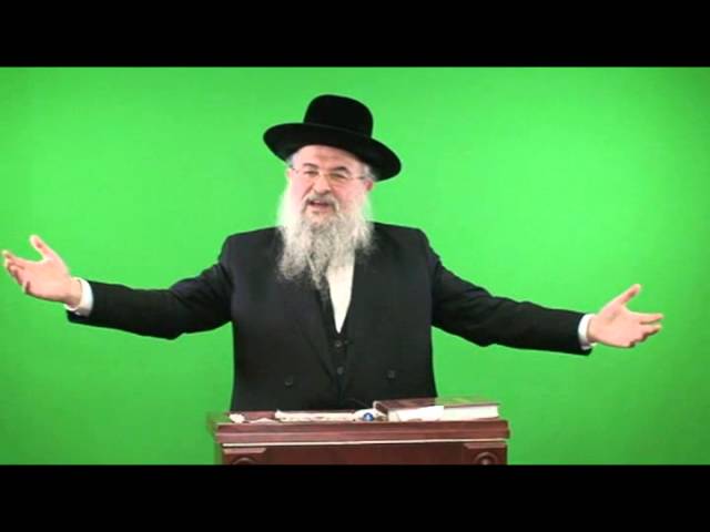 Rav Noach Isaac Oelbaum and Rav Moshe Tuvia Lieff on behalf of Israel