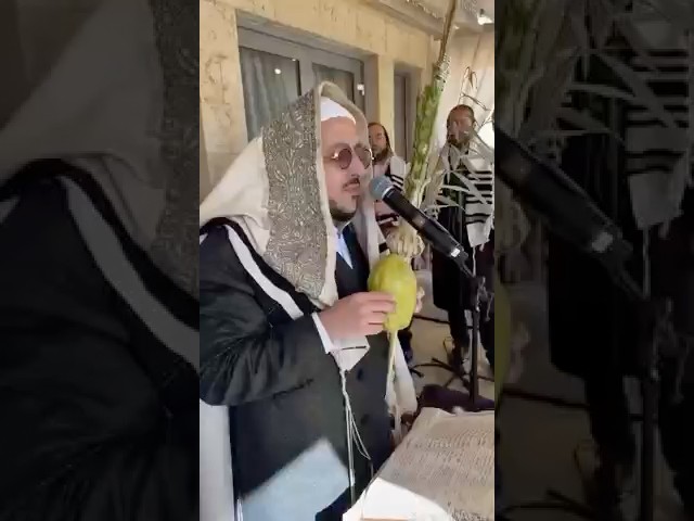 Lipa Schmeltzer Doing Hoshanos With English Gramen - Sukkos 2024