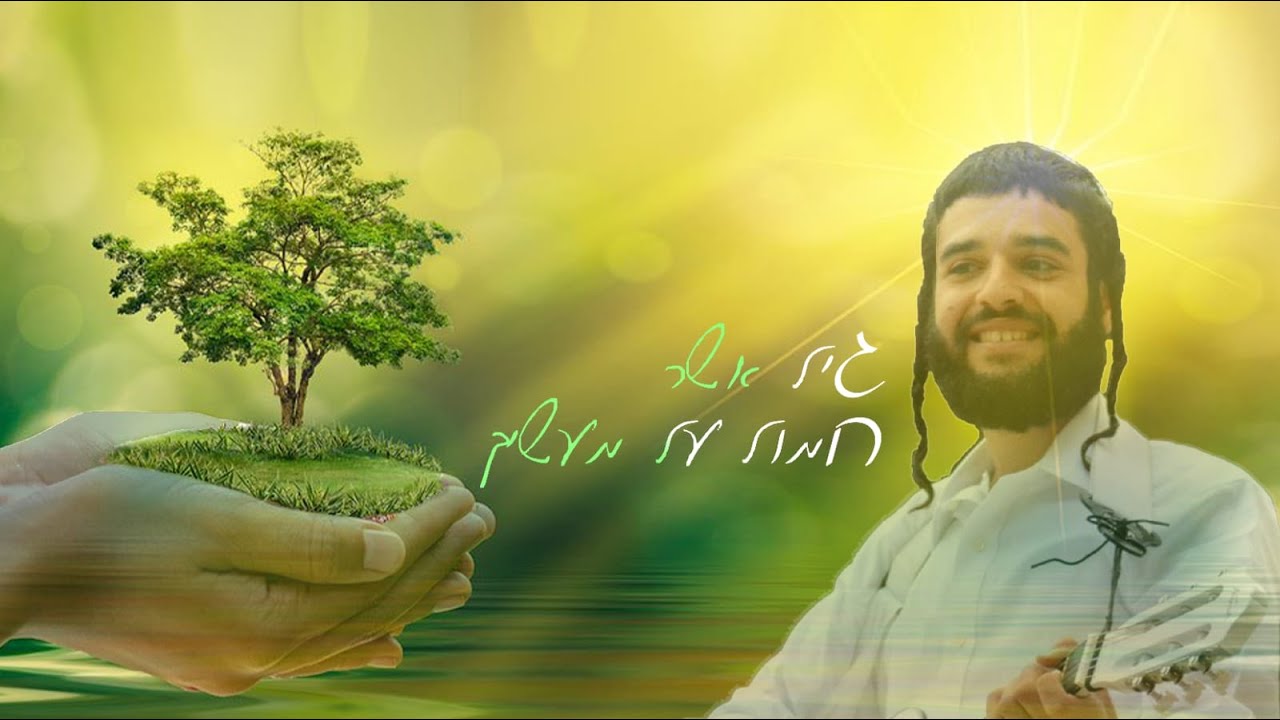 גיל אשר - חמול על מעשיך
