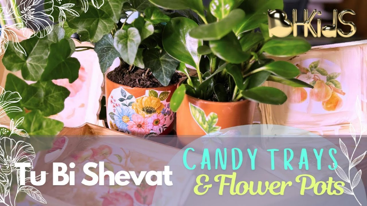 Tu b'Shevat Candy Trays & Flower Pots