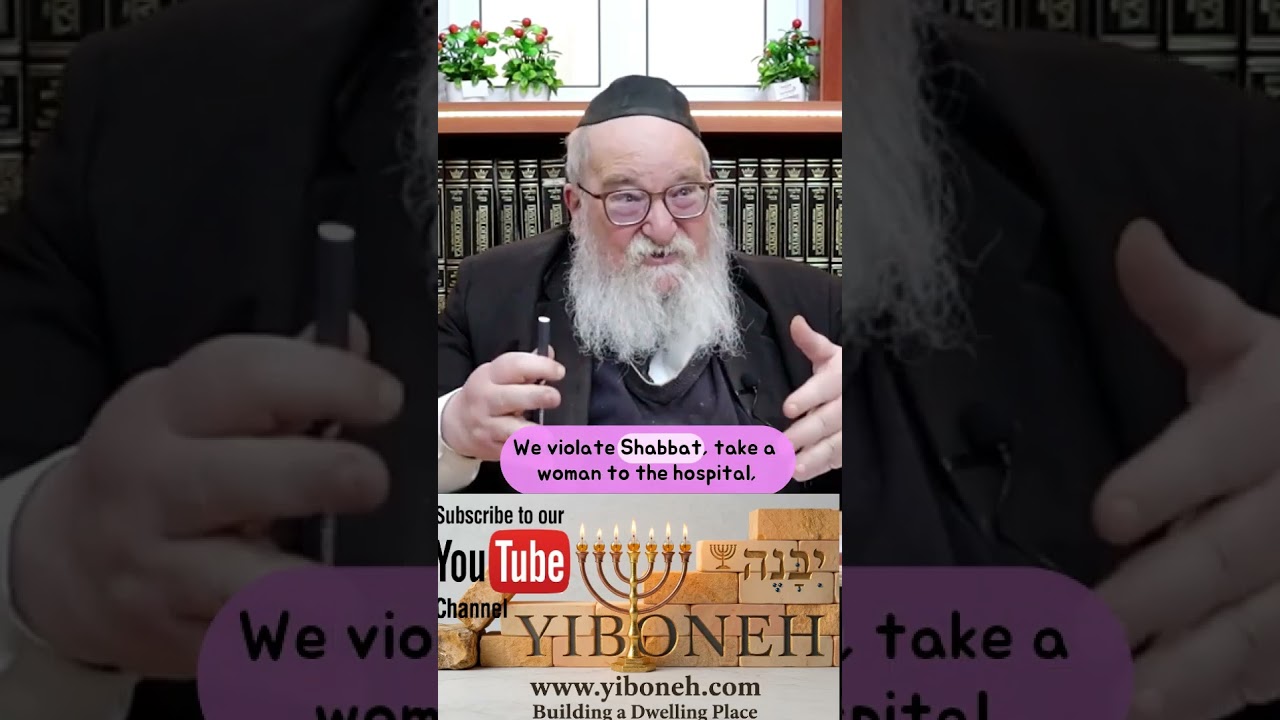Rav Breitowitz Why Birth to a Female is Double the time for Impurity than a Male