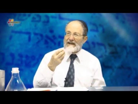 Rabbi Shaya Karlinsky - Monetary Law