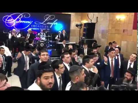 בני לאופר ותזמורתו-אלי הרצליך-המלאך