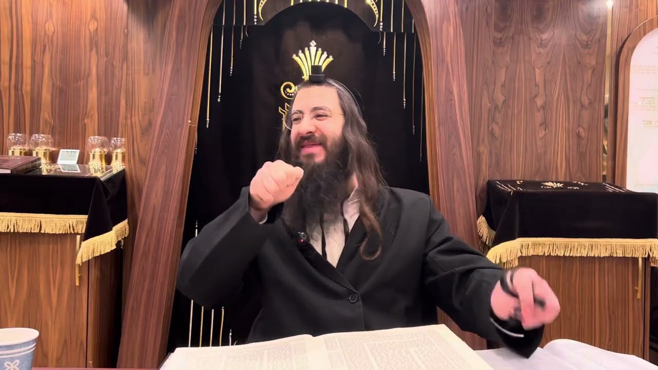 Sanhedrin 48