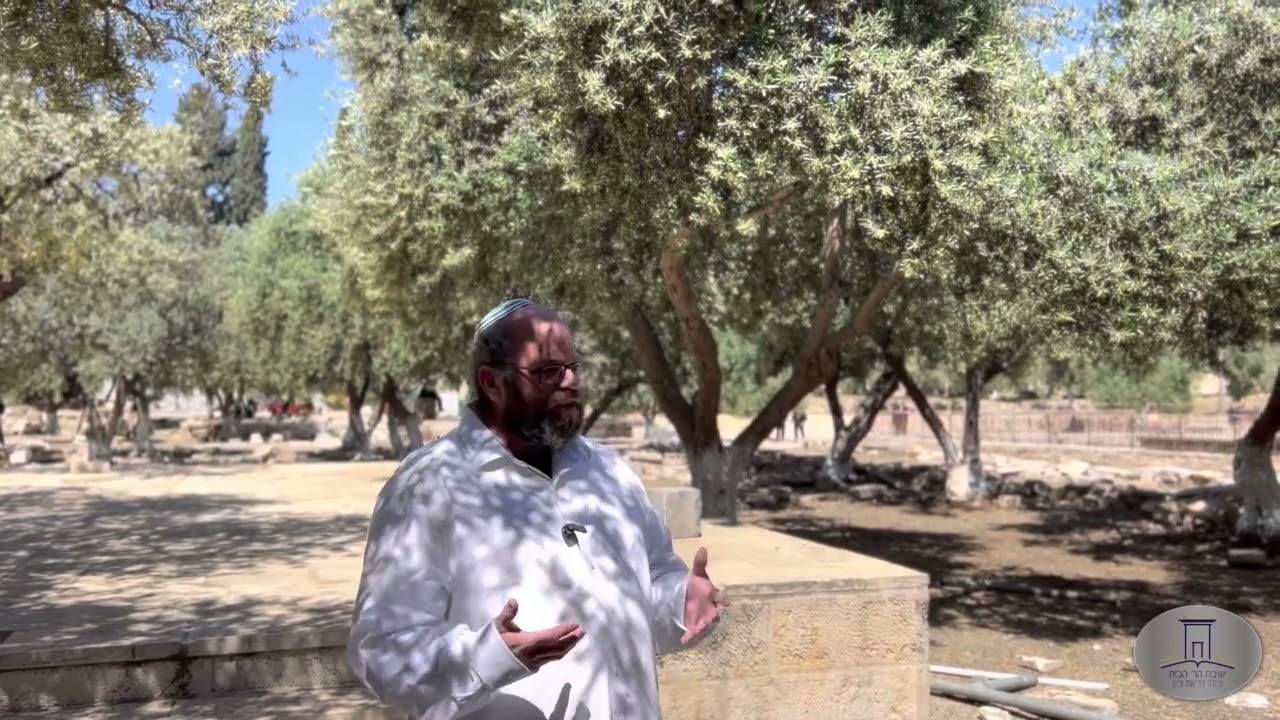 | ר יעקב אפס