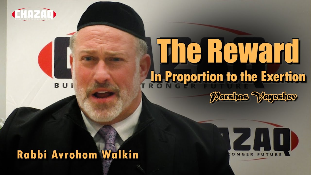 Rabbi Avrohom Walkin | Parshas Vayeshev: The Reward in Proportion to the Exertion | CHAZAQ