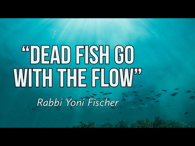 SETTING CLEAR GOALS - Rabbi Yoni Fischer