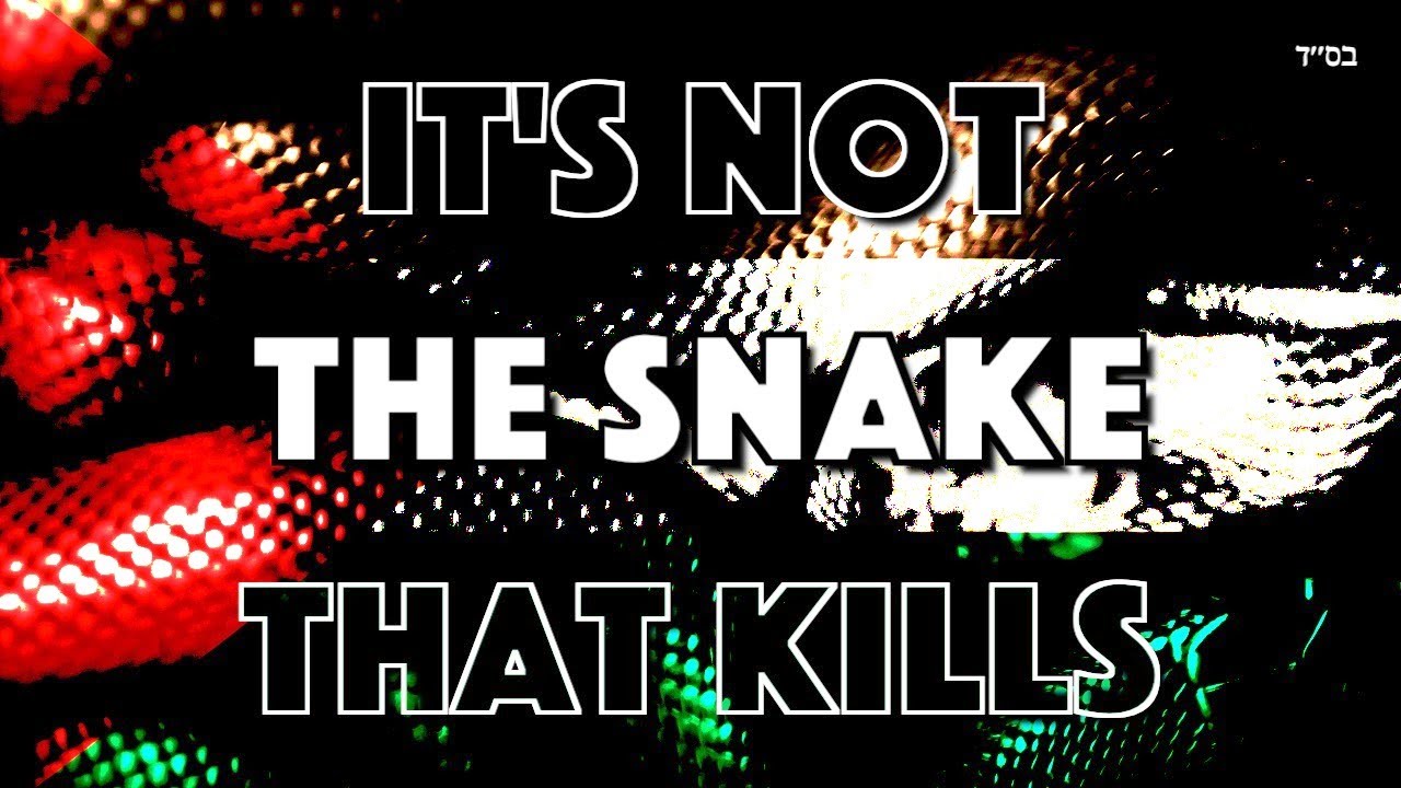 It's Not The Snake That Kills