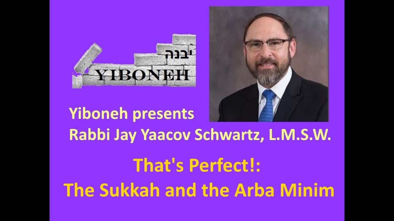 NEW!!! Rabbi Jay Yaacov Schwartz: That's Perfect! The Sukkah and the Arba Minim