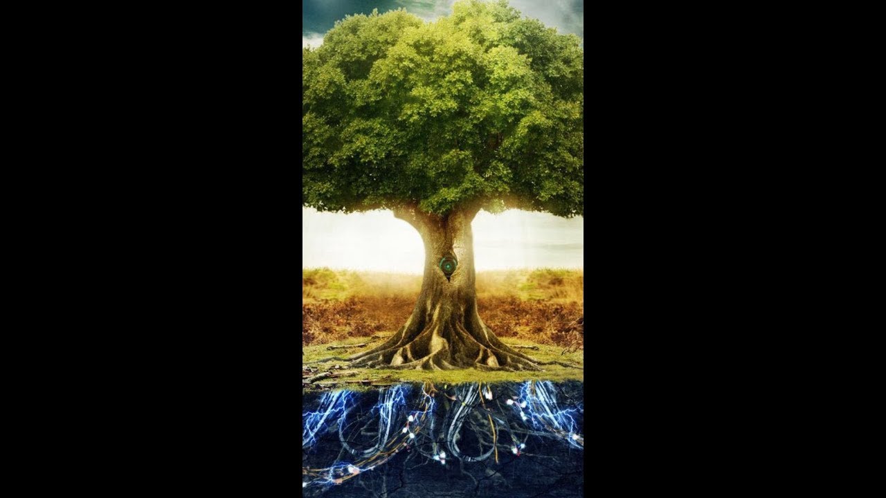 Daily Chidush: Learn The Purpose of Life From Adam