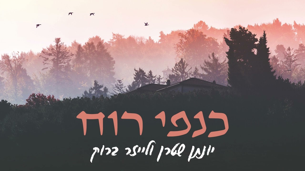 כנפי רוח - יונתן שטרן ולייזר ברוק - ווקאלי | Kanfei Ruach Yonatan Stern & Leizer Brook - A cappella
