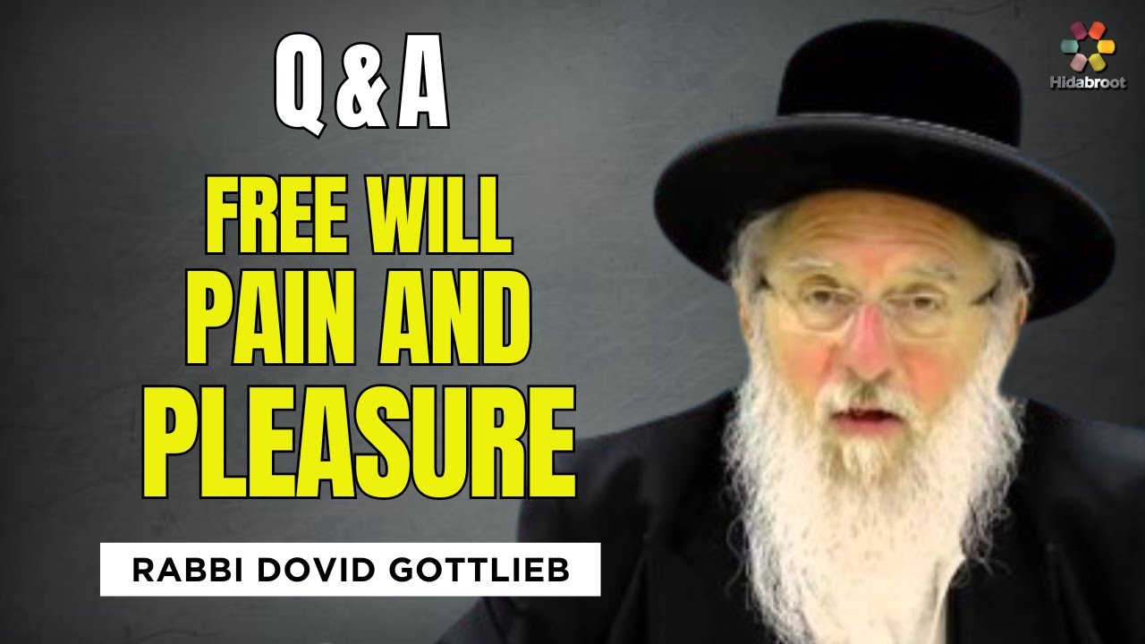 Q&A: Free Will, Individual Providence, Pain & Pleasure - Rabbi Dovid Gottleib