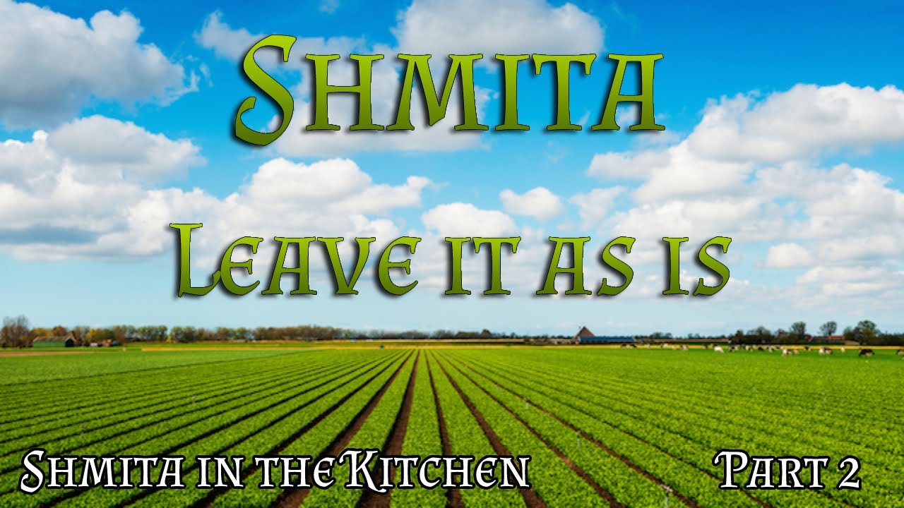 Shmita in the kitchen | Part 2 - Leave it as is