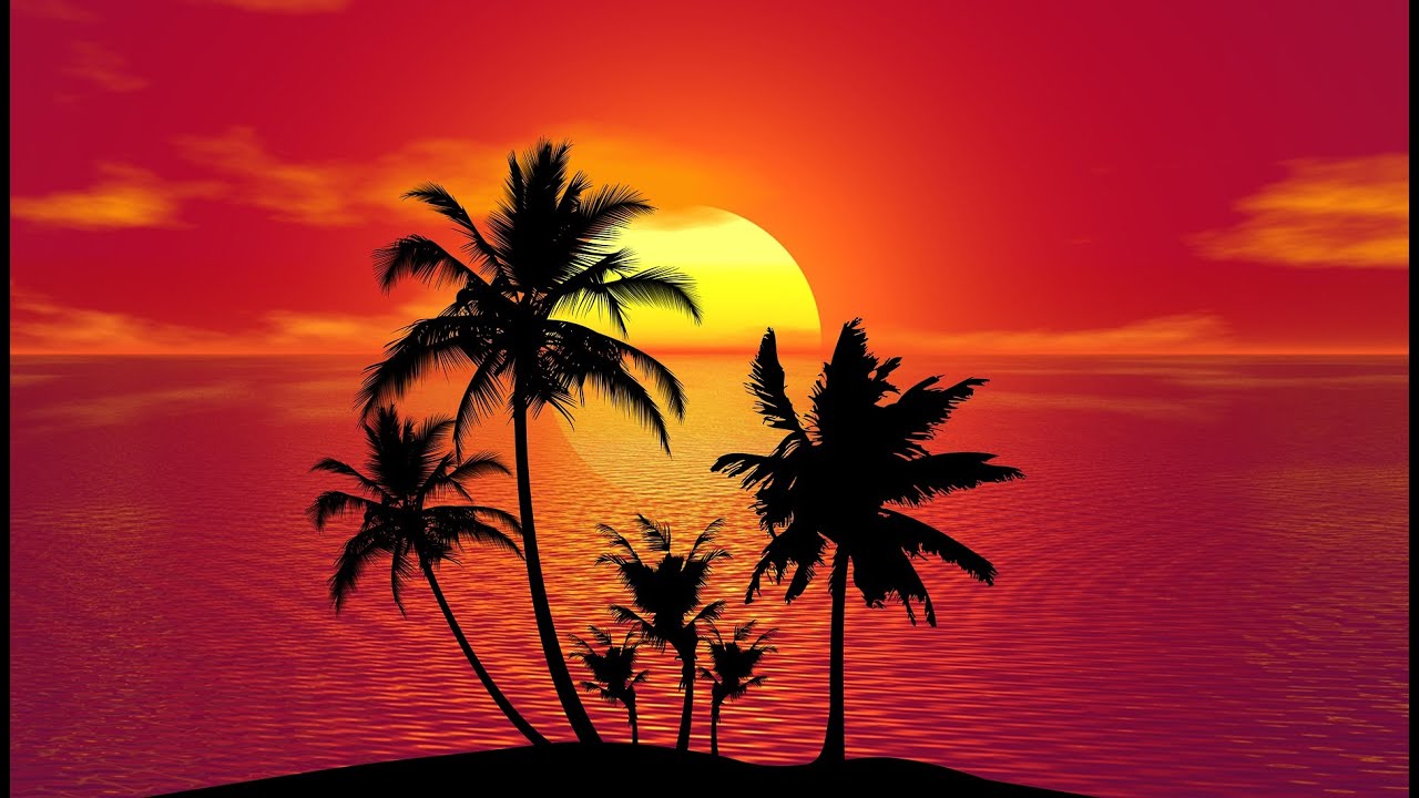 CoronaVirus -  A Last Holiday