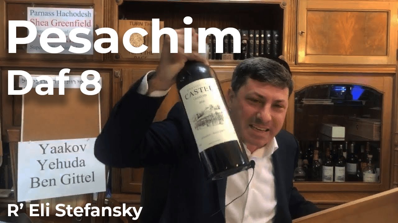 Daf Yomi Pesachim Daf 8 by R’ Eli Stefansky