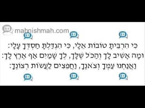 Ara'le Samet & Meir Adler - Ki Hirbeisu