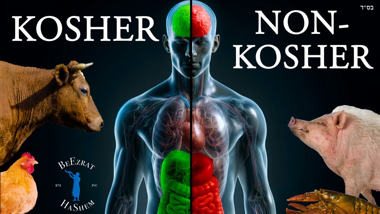 How Non Kosher Food Affects the Body and Soul | BH FILMS