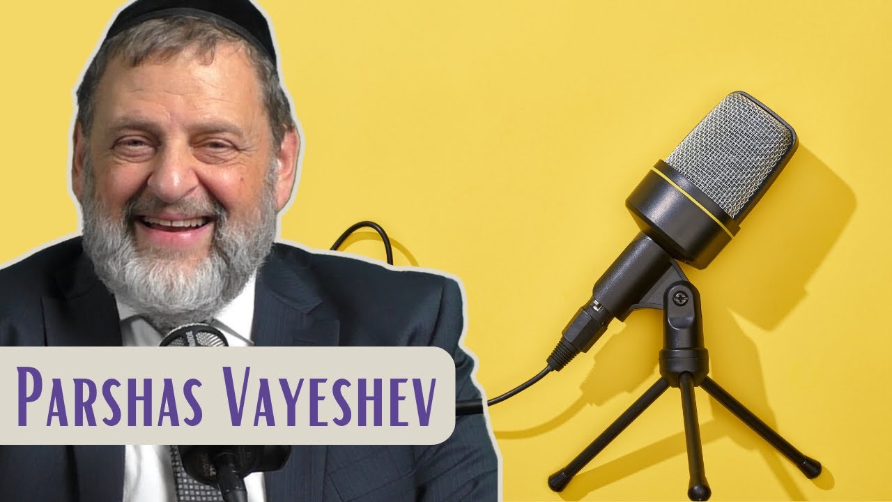 Vayeshev - The Positive Voice | Rabbi Dovid Orlofsky