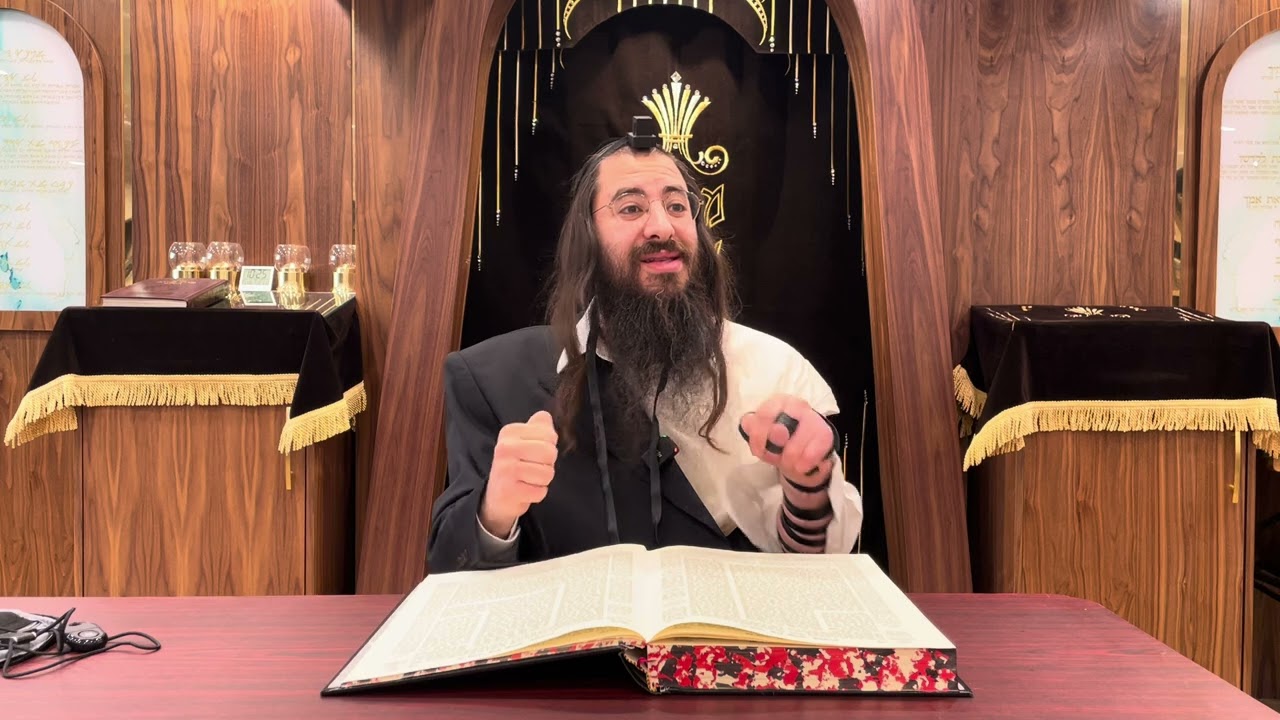 Sanhedrin 23b-24 Harav Chaim Ozer Geldzahler