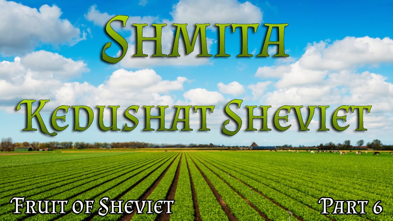 Shmita | Fruit & Vegetables of Sheviet - What has Kedushat Sheviet?