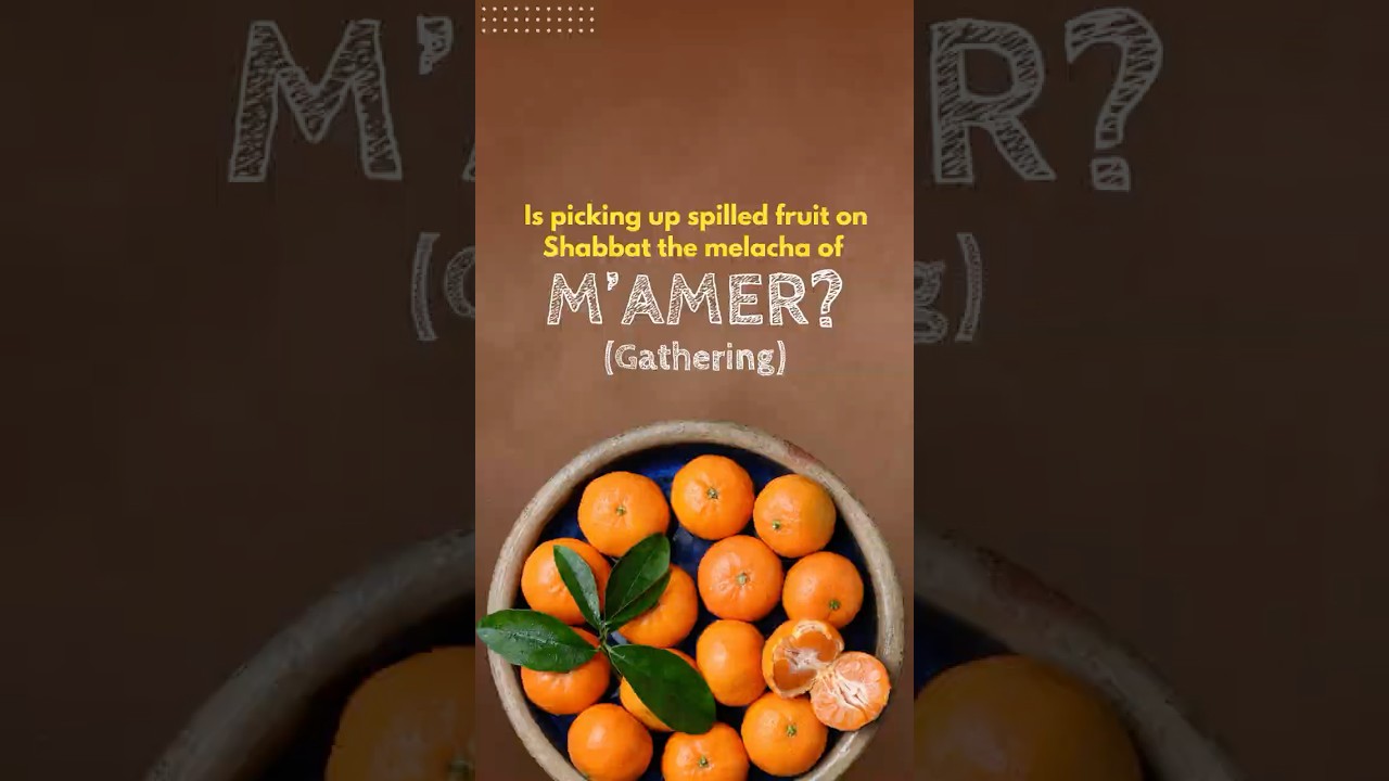 M'amer (Gathering) - Breaking Down the 39 Melachot