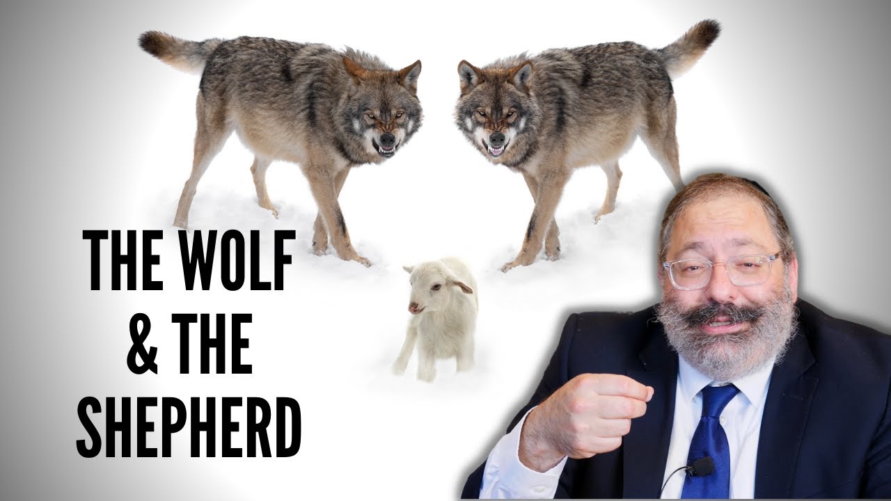 Why Moshe Felt Responsible for the Epidemic that Claimed 24,000