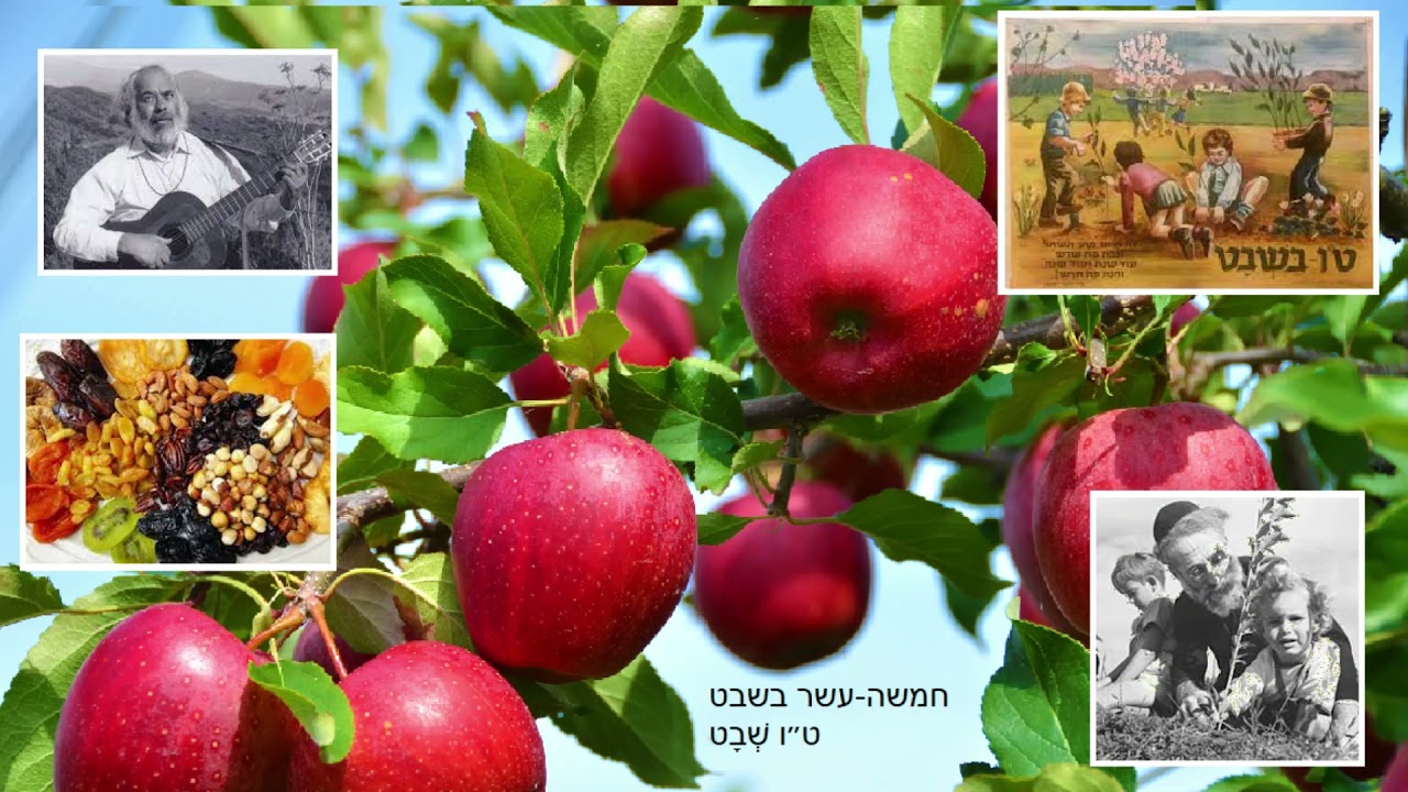 Shlomo Carlebach - Tu BiShvat New Year of Trees - Story / Jewish Roots  - ט״ו שְׁבָט