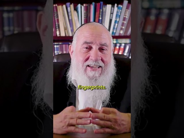 God's Fingerprints Are Everywhere! #god #hashem #lord #spirituality #torah #judaism #hidabroot