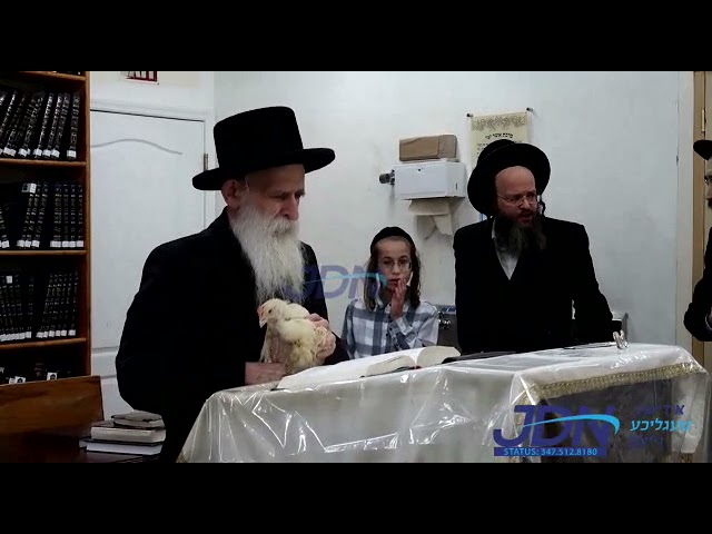 Beis Chaim Shea Rebbe Kaporos Erev Yom Kippur 5782