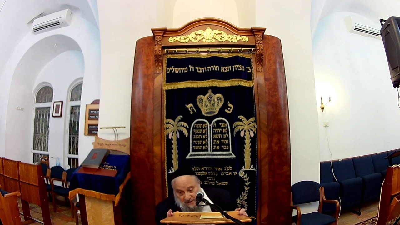 NEW: Rabbi Mendel Kessin: Tu B'Shvat - the meaning behind the festival
