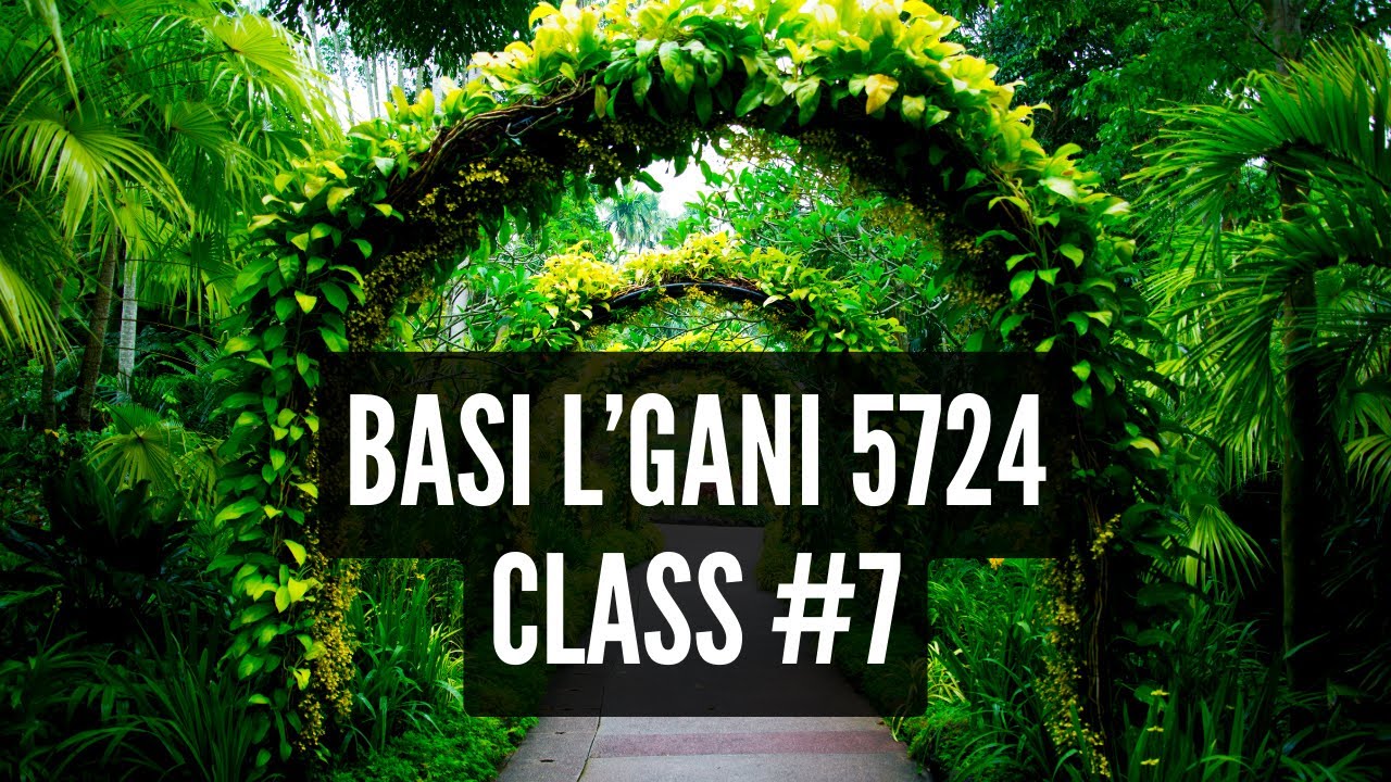 Basi Legani 5724 #7: How Did the Baal Shem Tov Respond to People While His Soul Was in Heaven?