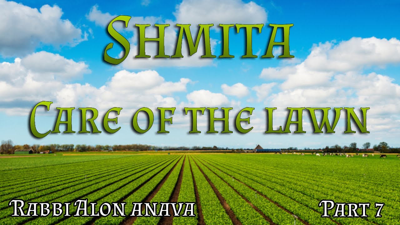 Shmita | Part 7 - Taking care of grass and lawn