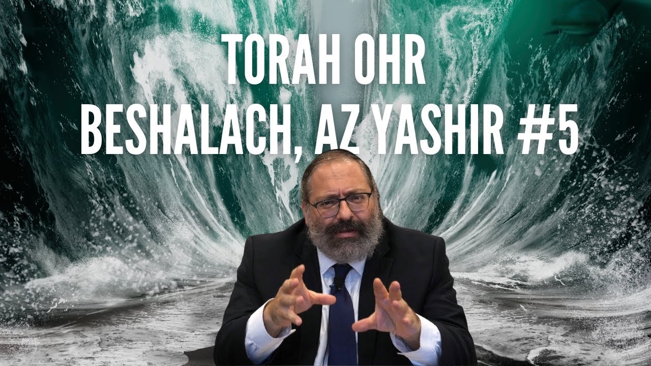 Transcending Language Allows for Healing | Parsha Beshalach