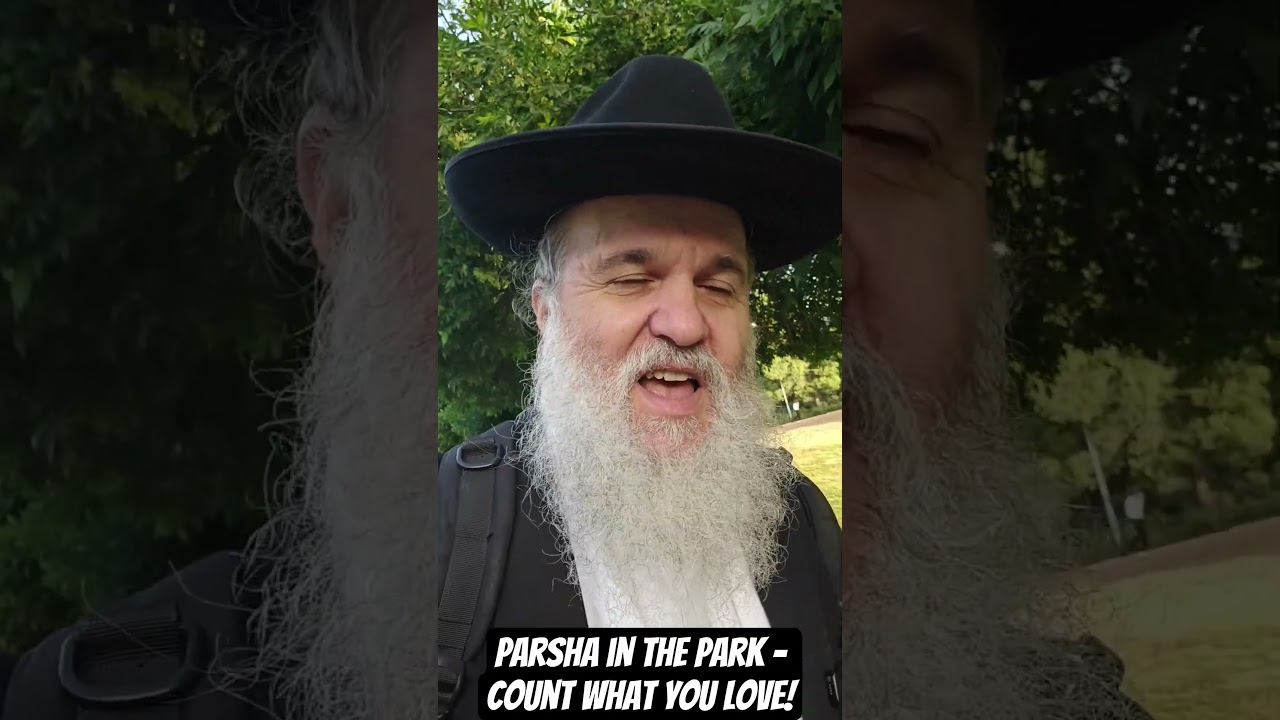 Parsha in the Park - Count what you Love!