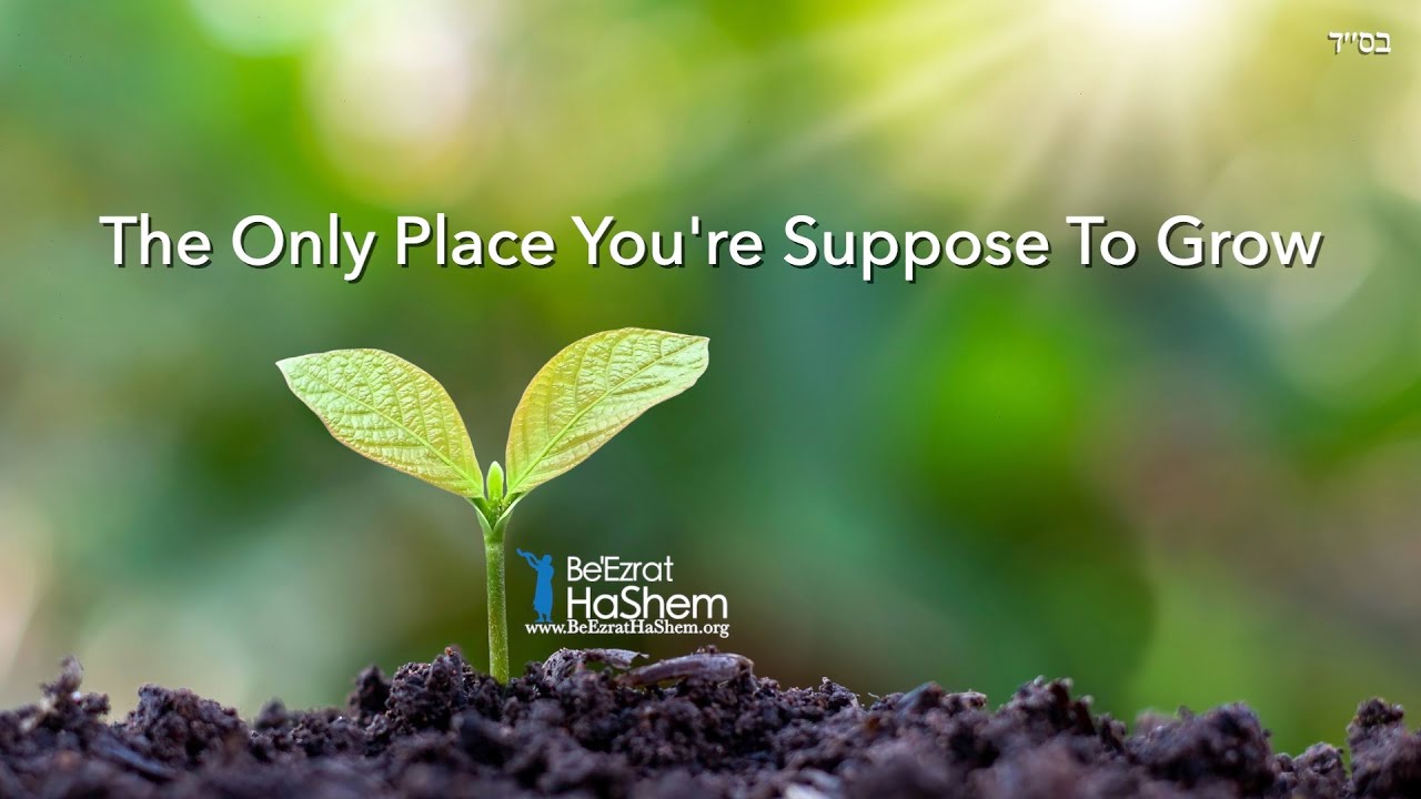 The Only Place You're Suppose to Grow