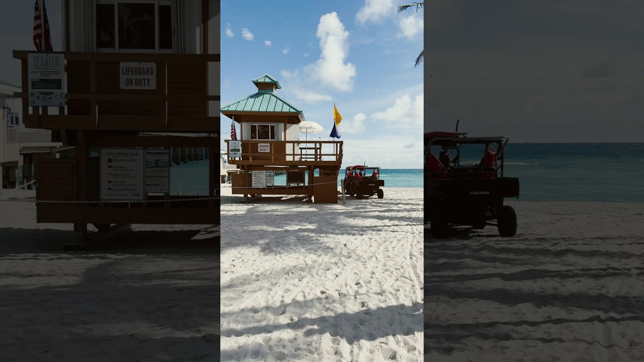 Miami Sunny isles beach #shorts #miami #sunny #beach