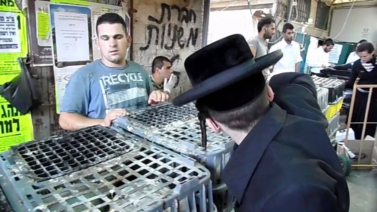 VIEWER DISCRETION ADVISED! - Kapparos in Meah Shearim - Erev Yom Kippur 5774